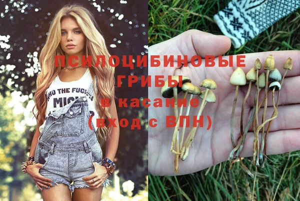 СК Нефтекумск